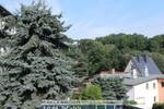 Etagenwohnung Greiz Irchwitz - 2 Zimmer, 61 m&sup2;, 320&euro; | Angebot:25674659