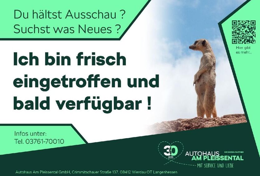 Skoda Kodiaq 62.450 km 30.870 € Werdau 08412