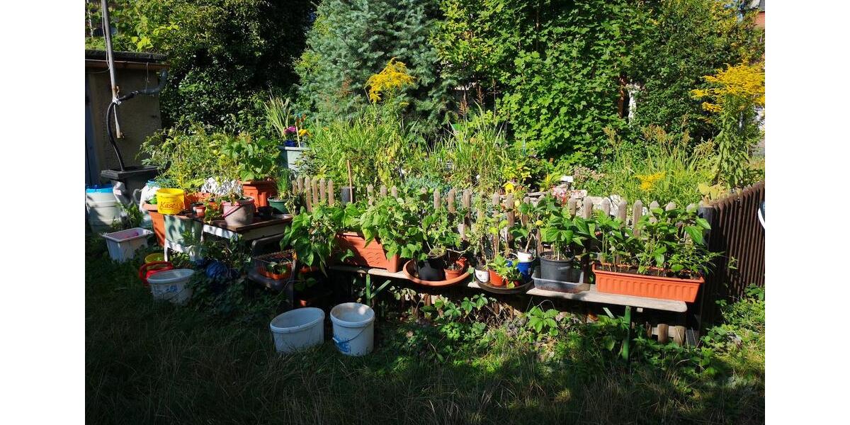 Etagenwohnung Greiz - 3 Zimmer, 103 m&sup2;, 540&euro; | Angebot:25908191