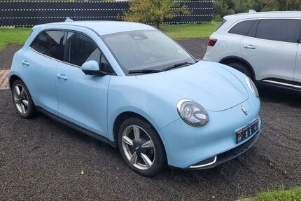 ORA Funky Cat 17.500 km 19.990 &euro; Crossen 07613