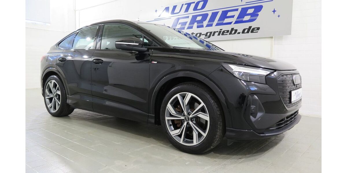 Audi Q4 e-tron 89.800 km 28.950 &euro; Miesitz 07819