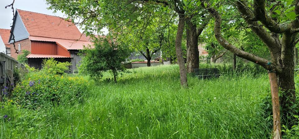 Einfamilienhaus Auma-Weidatal Weidatal - 9 Zimmer, 160 m&sup2;, 25.000&euro; | Angebot:25707834