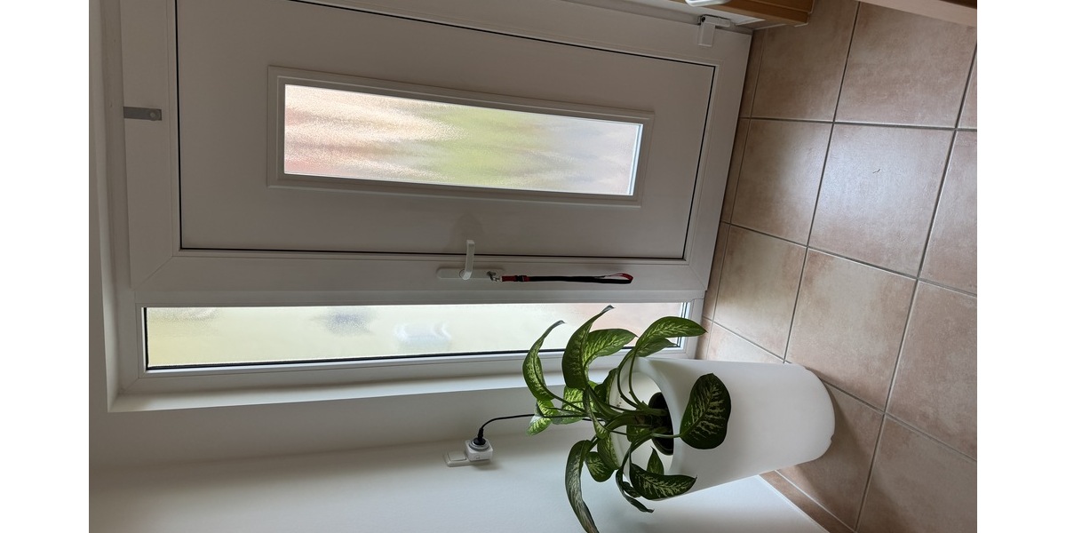 Exklusives Einfamilienhaus mit Doppelgarage in Exponierter Lage - Einfamilienhaus Gera Debschwitz | Angebot:26252070