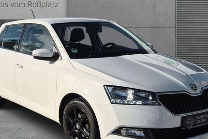 Skoda Fabia 53.557 km 10.000 &euro; Eisenberg 07607