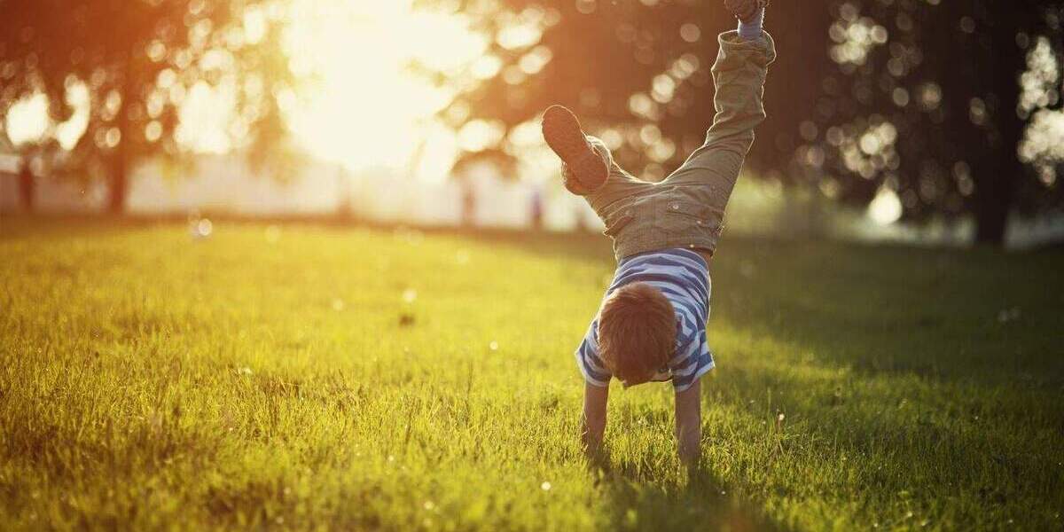 Schaffen Sie neue Lebensräume mit einem allkauf Haus 4 zimmer