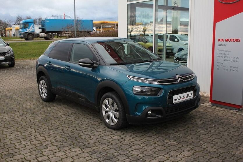 C4 Cactus