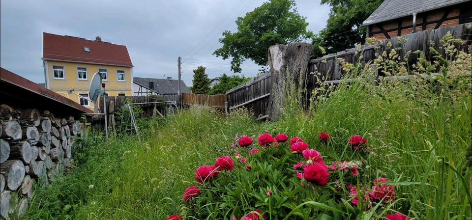 Einfamilienhaus Auma-Weidatal Weidatal - 8 Zimmer, 151 m&sup2;, 65.000&euro; | Angebot:23699182