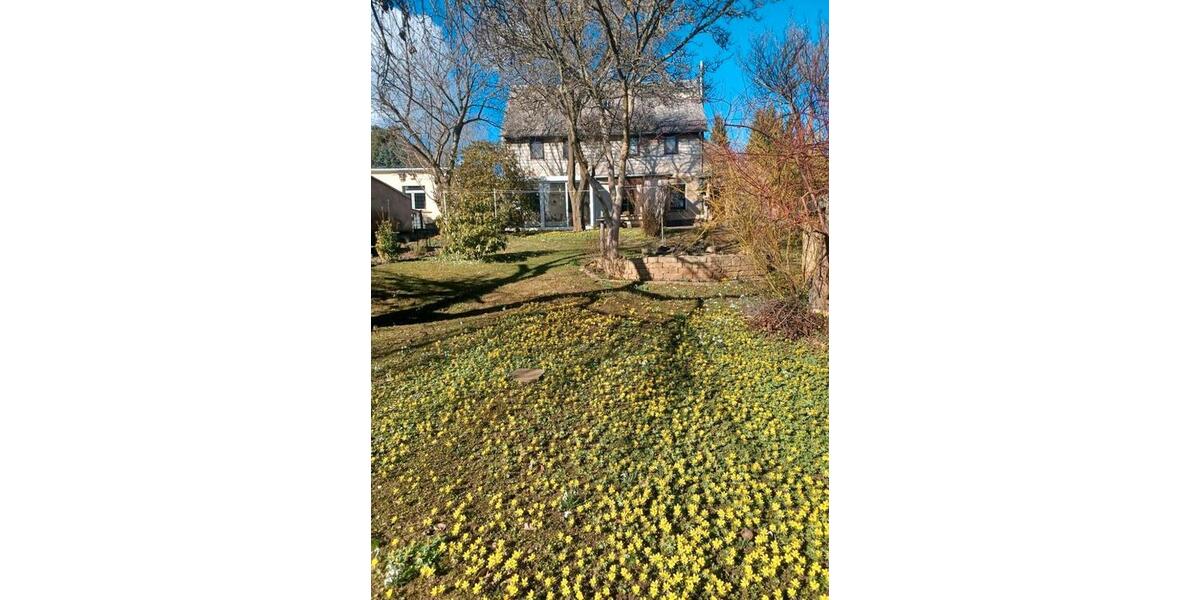 Einfamilienhaus Fraureuth - 4 Zimmer, 100 m&sup2;, 180.000&euro; | Angebot:26020571