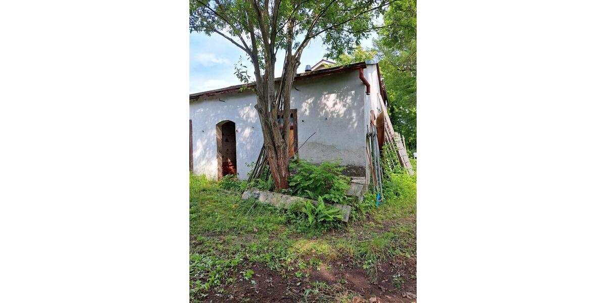Mehrfamilienhaus, Wohnhaus Zeulenroda-Triebes Triebes - 11 Zimmer, 210 m&sup2;, 126.000&euro; | Angebot:26819031