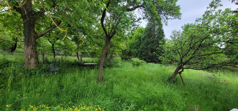 Einfamilienhaus Auma-Weidatal Weidatal - 9 Zimmer, 160 m&sup2;, 25.000&euro; | Angebot:25707834