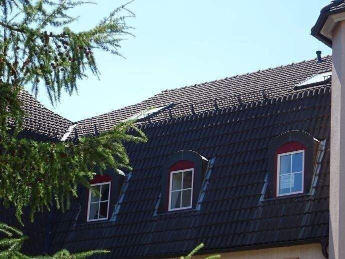 Vermietete, gemütliche 2-Zimmer-Eigentumswohnung mit Carportplatz in Hohenleuben zu verkaufen 2 zimmer