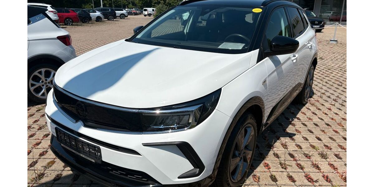 Opel Grandland (X) 41.160 km 17.690 &euro; Triptis 07819