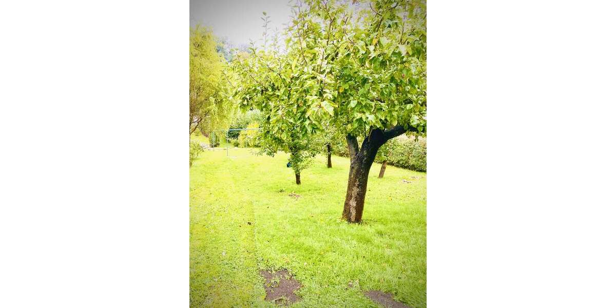 Grundstück zu verkaufen in Wintersdorf 44.850 € 650 m² zimmer