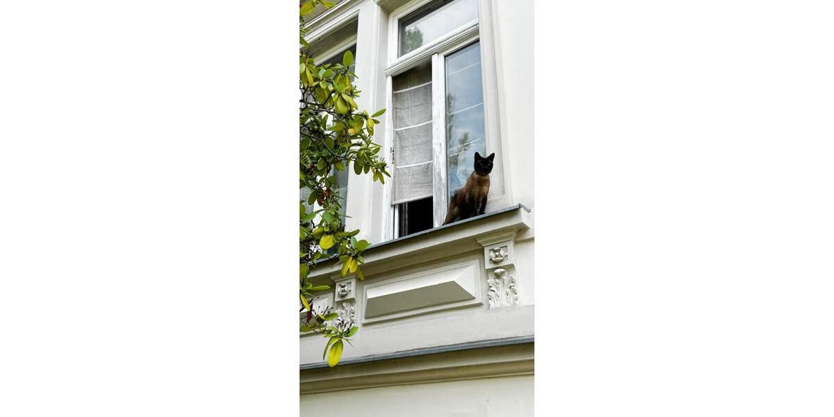 Dachgeschoßwohnung Meerane - 4 Zimmer, 127 m&sup2;, 730&euro; | Angebot:26293189