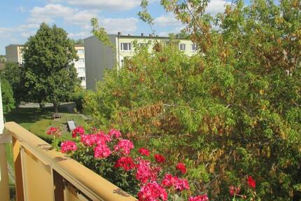 Wohnung Gera Alt-Bieblach - 3 Zimmer, 60 m&sup2;, 346&euro; | Angebot:24783934