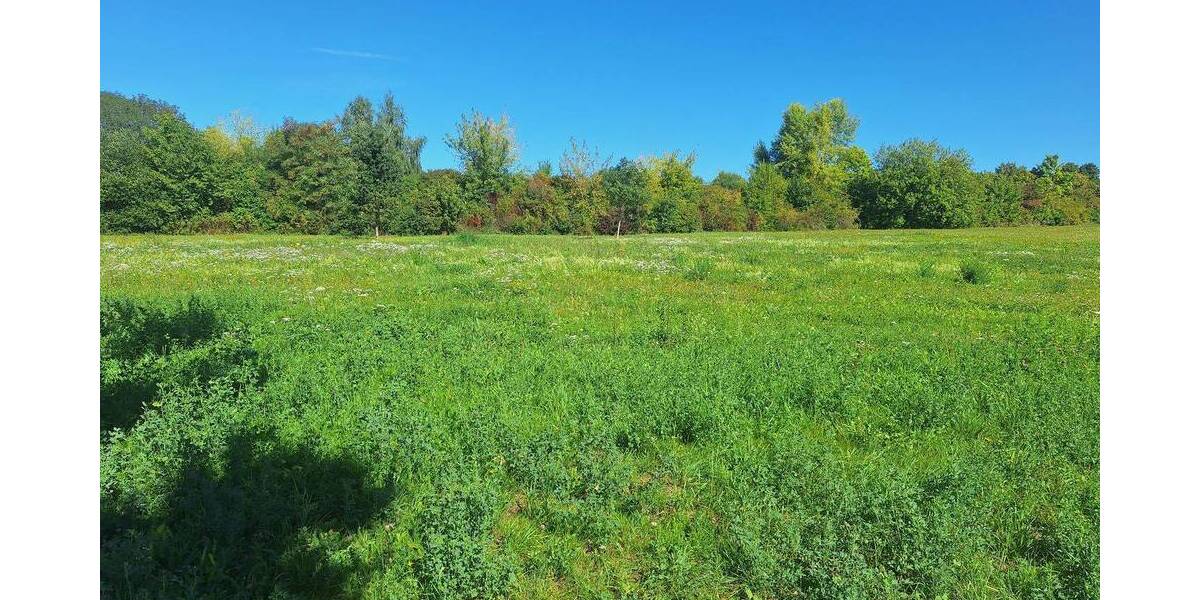 Grundstück Gera Bieblach-Ost - 450.000&euro; | Angebot:25700639