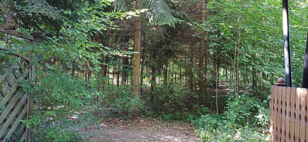 Grundstück Zeulenroda-Triebes Triebes - 39.500&euro; | Angebot:25338587