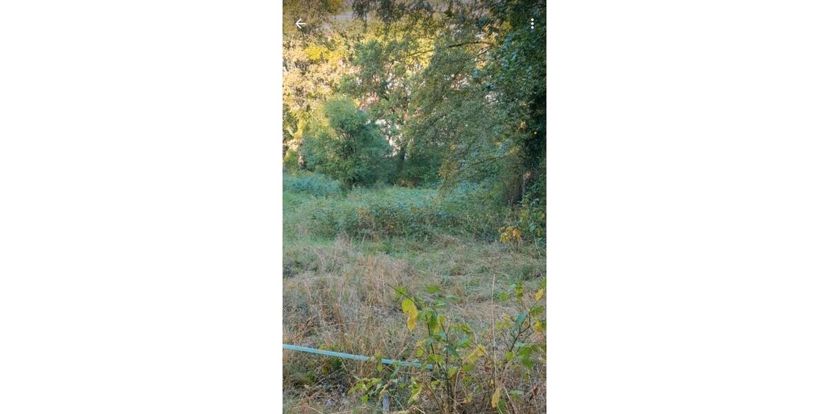 Grundstück Stadtroda - 9.500&euro; | Angebot:26089427