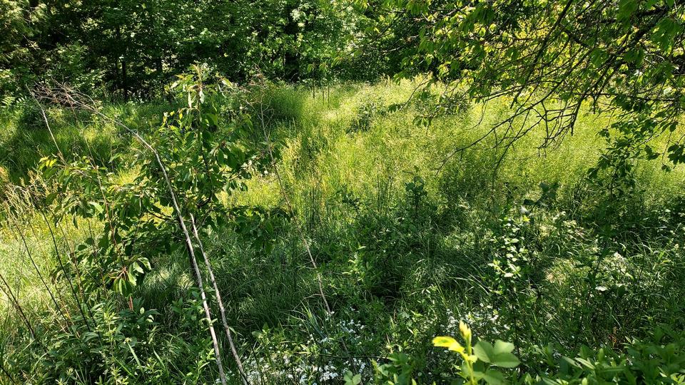 Bungalow Stadtroda - 15.000&euro; | Angebot:26238159