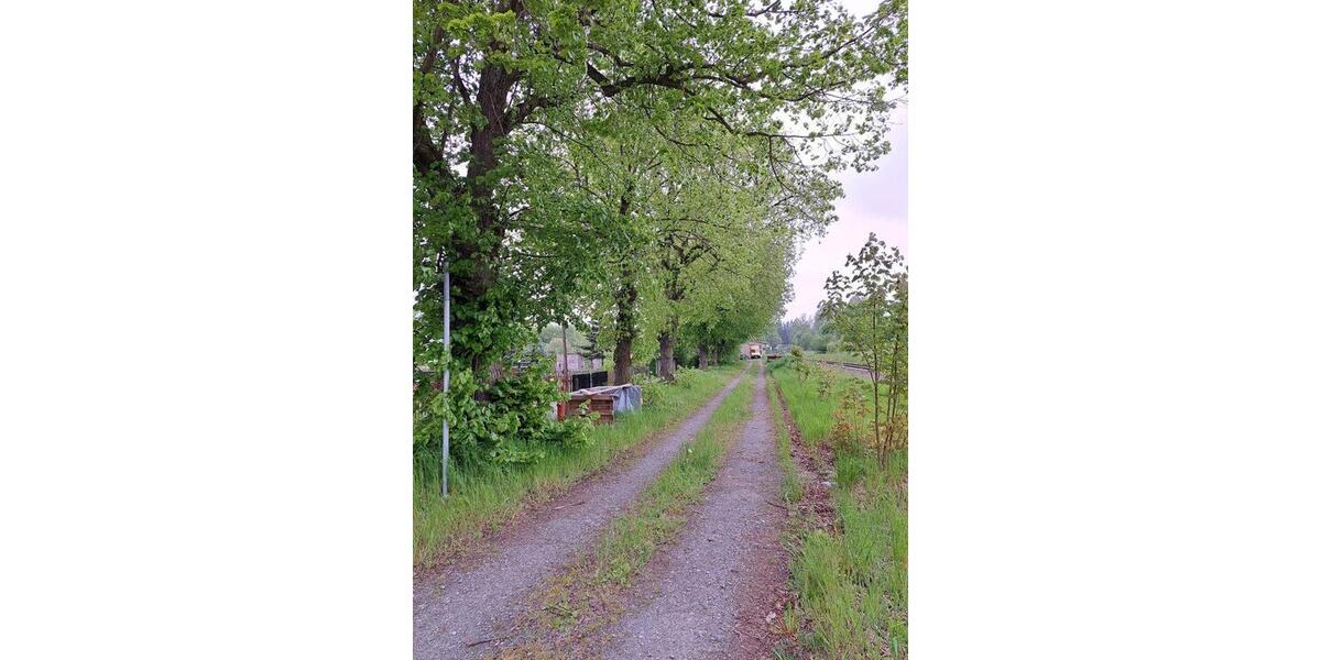 Mehrfamilienhaus, Wohnhaus Zeulenroda-Triebes Triebes - 10 Zimmer, 340 m&sup2;, 117.000&euro; | Angebot:26040853