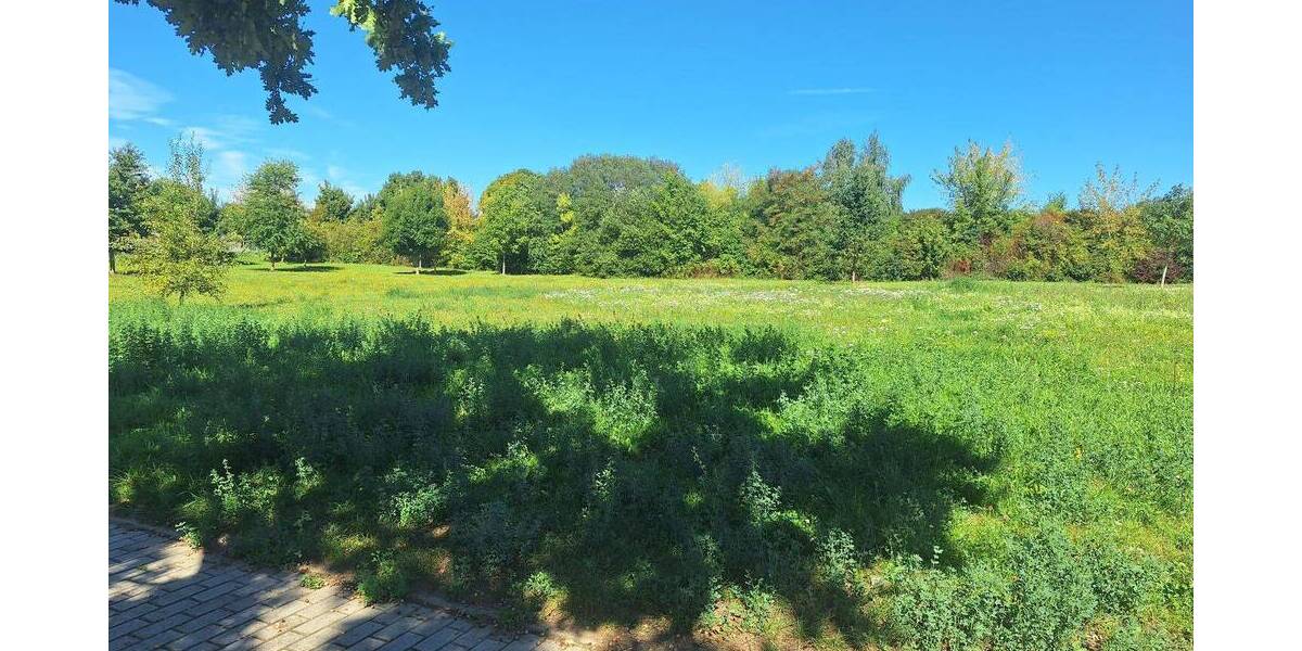 Großzügiges Grundstück zur gewerblichen Nutzung! zimmer