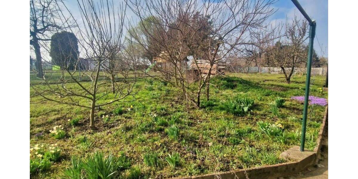 Doppelhaushälfte Rositz - 1 Zimmer, 144 m&sup2;, 69.000&euro; | Angebot:25685832