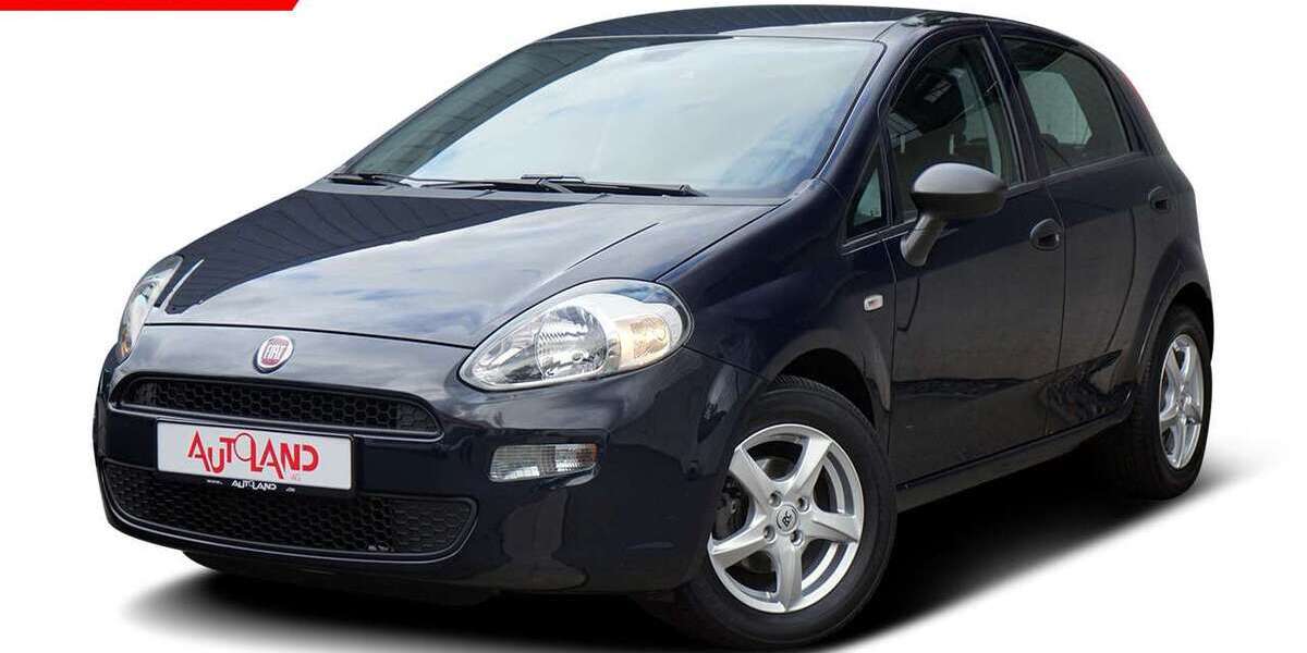 Fiat Punto 79.973 km 9.950 &euro; Gera 07546