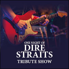 One Night of Dire Straits - Tribute Show 03.05.2026 Neue Gebläsehalle Neunkirchen