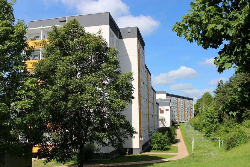 Wohnung zum Mieten in Reichenbach 280 € 54.8 m²