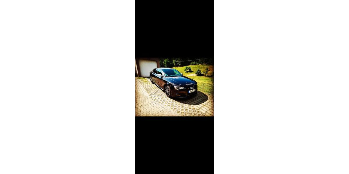 Audi S5 184.000 km 14.900 &euro; Greiz 07973