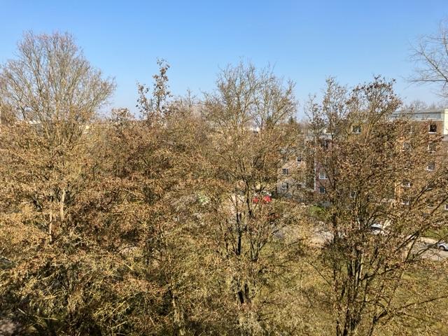 Etagenwohnung Gera Lusan - 2 Zimmer, 55 m&sup2;, 310&euro; | Angebot:25349927