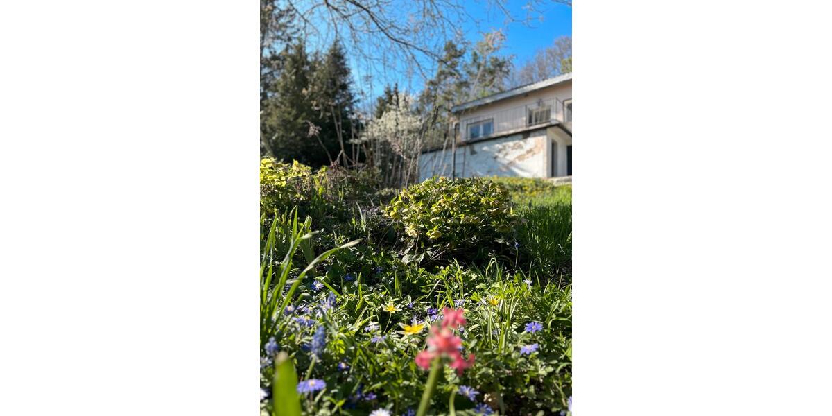 Bungalow Zeitz - 3 Zimmer, 45 m&sup2;, 38.000&euro; | Angebot:26533166