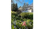 Bungalow Zeitz - 3 Zimmer, 45 m&sup2;, 38.000&euro; | Angebot:26533166