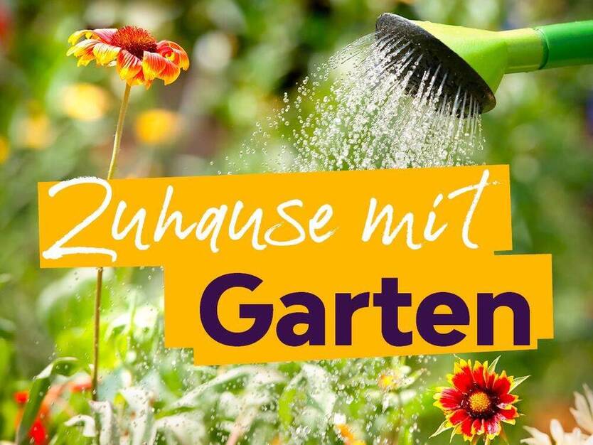 Schöne 3-RaumWohnung im Erdgeschoss mit Mietergarten sucht Nachmieter