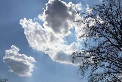 Grundstück Werdau - 89.000&euro; | Angebot:26220732