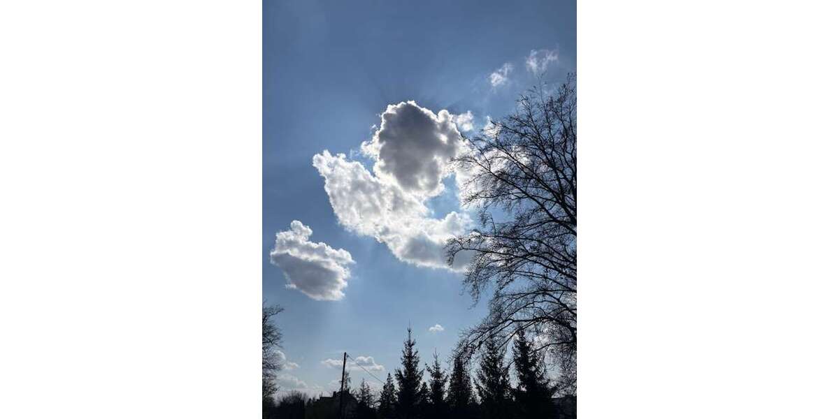 Grundstück Werdau - 89.000&euro; | Angebot:26220732