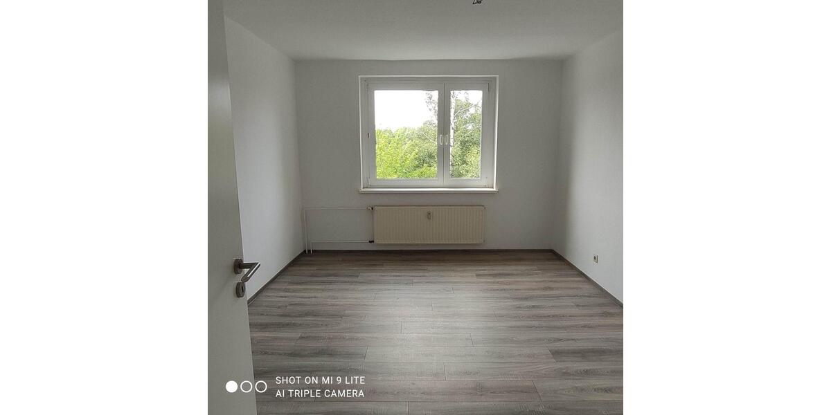 Renovierte 4 ZKB in Elsteraue OT Profen 4 zimmer