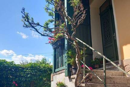 Wohnung Crimmitschau - 2 Zimmer, 51 m&sup2;, 270&euro; | Angebot:25565318