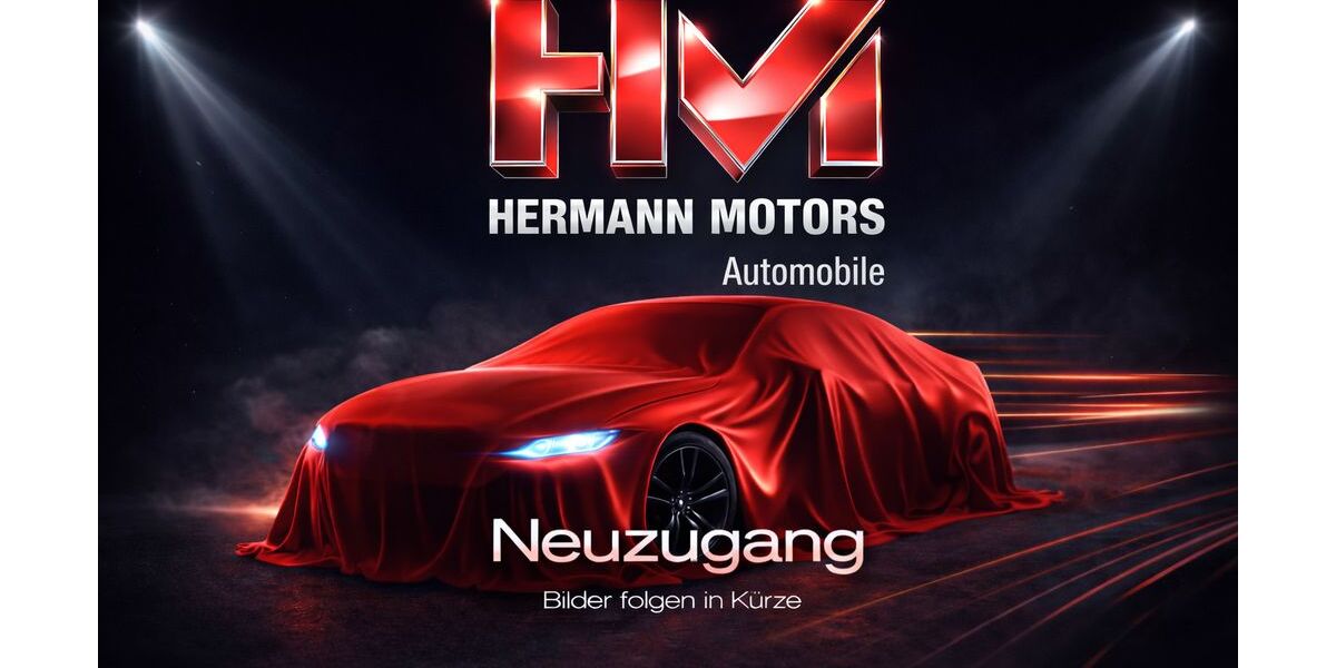 Ford Tourneo Custom 106.600 km 28.890 &euro; Werdau OT Steinpleis 08412