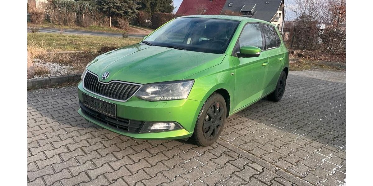 Skoda Fabia 132.300 km 9.590 € Altenburg 04600