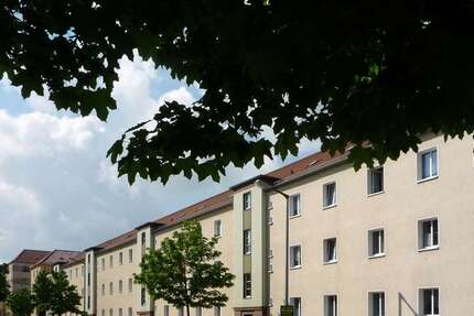 Wohnung Gera Alt-Bieblach - 2 Zimmer, 53 m&sup2;, 342&euro; | Angebot:25572191