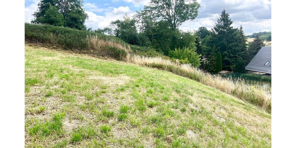 Grundstück Eineborn - 74.750&euro; | Angebot:25779345
