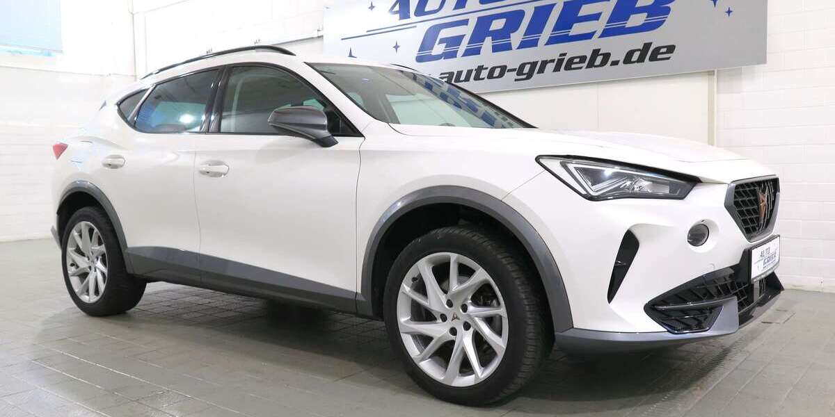 Cupra Formentor 82.800 km 23.450 &euro; Miesitz 07819