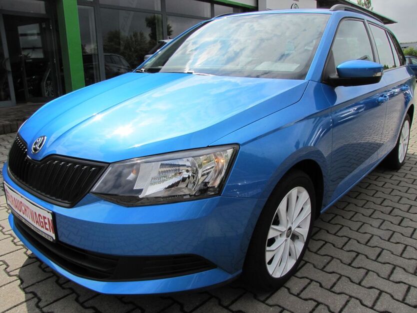 Skoda Fabia 131.990 km 8.888 € Altenburg 04600